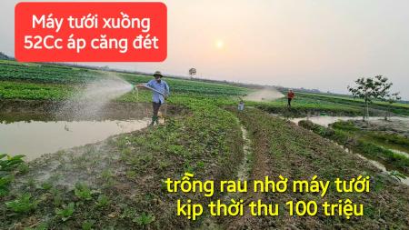 Máy Bơm Nước Xuồng Chuyên Dụng Dành Cho Tưới Tiêu Cây Trồng.